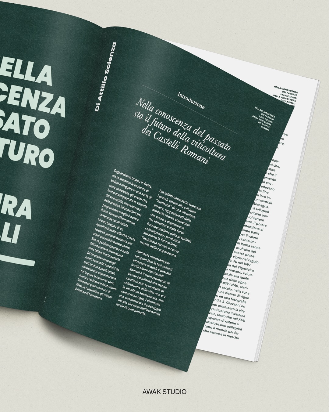 Nella conoscenza del passato sta il futuro dei Castelli Romani
📖 Speciale di Attilio Scienza per Terre del Vino.
Progetto grafico di Awak Studio.
@terredelvino_magazine @cittadelvino