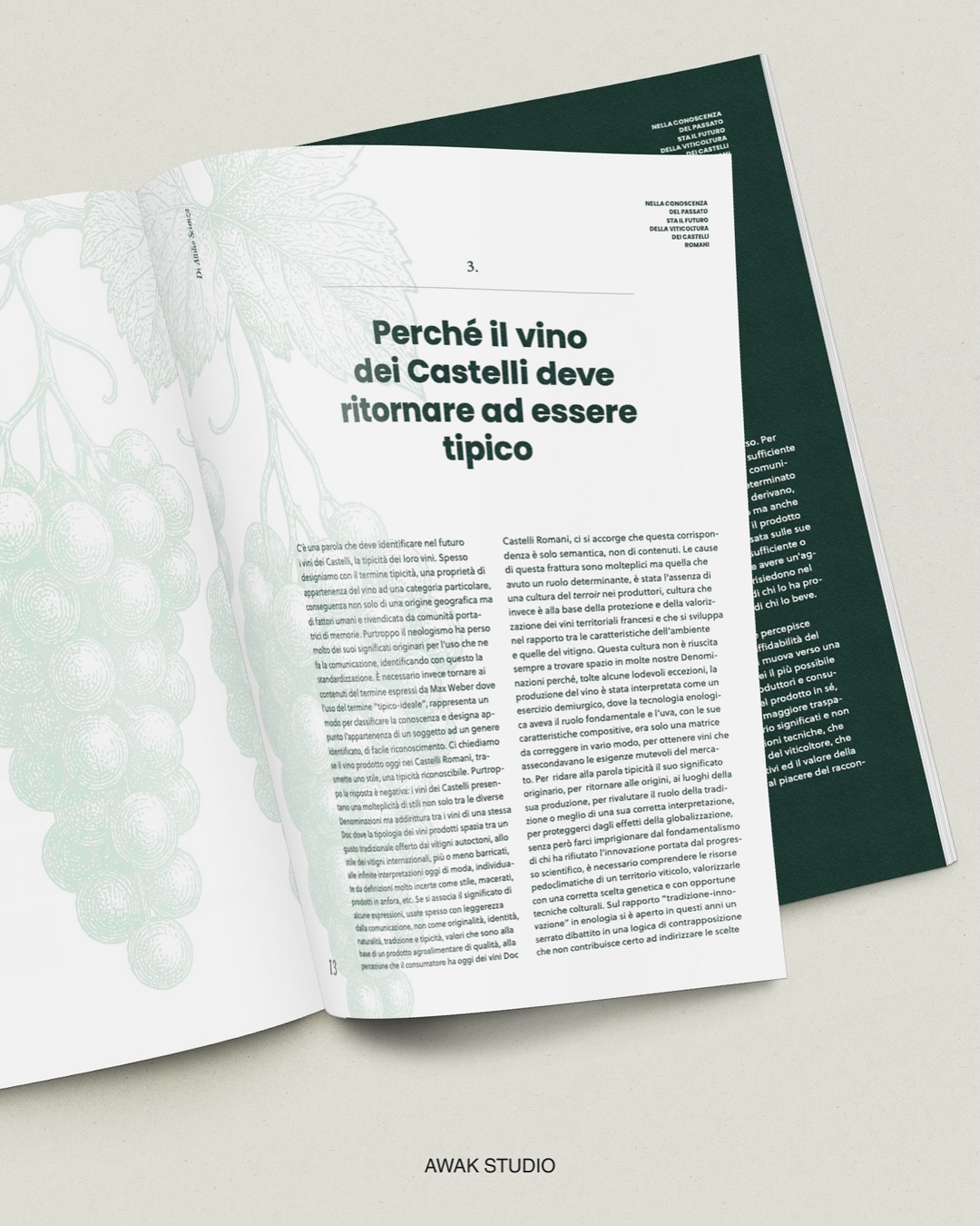 Nella conoscenza del passato sta il futuro dei Castelli Romani
📖 Speciale di Attilio Scienza per Terre del Vino.
Progetto grafico di Awak Studio.
@terredelvino_magazine @cittadelvino