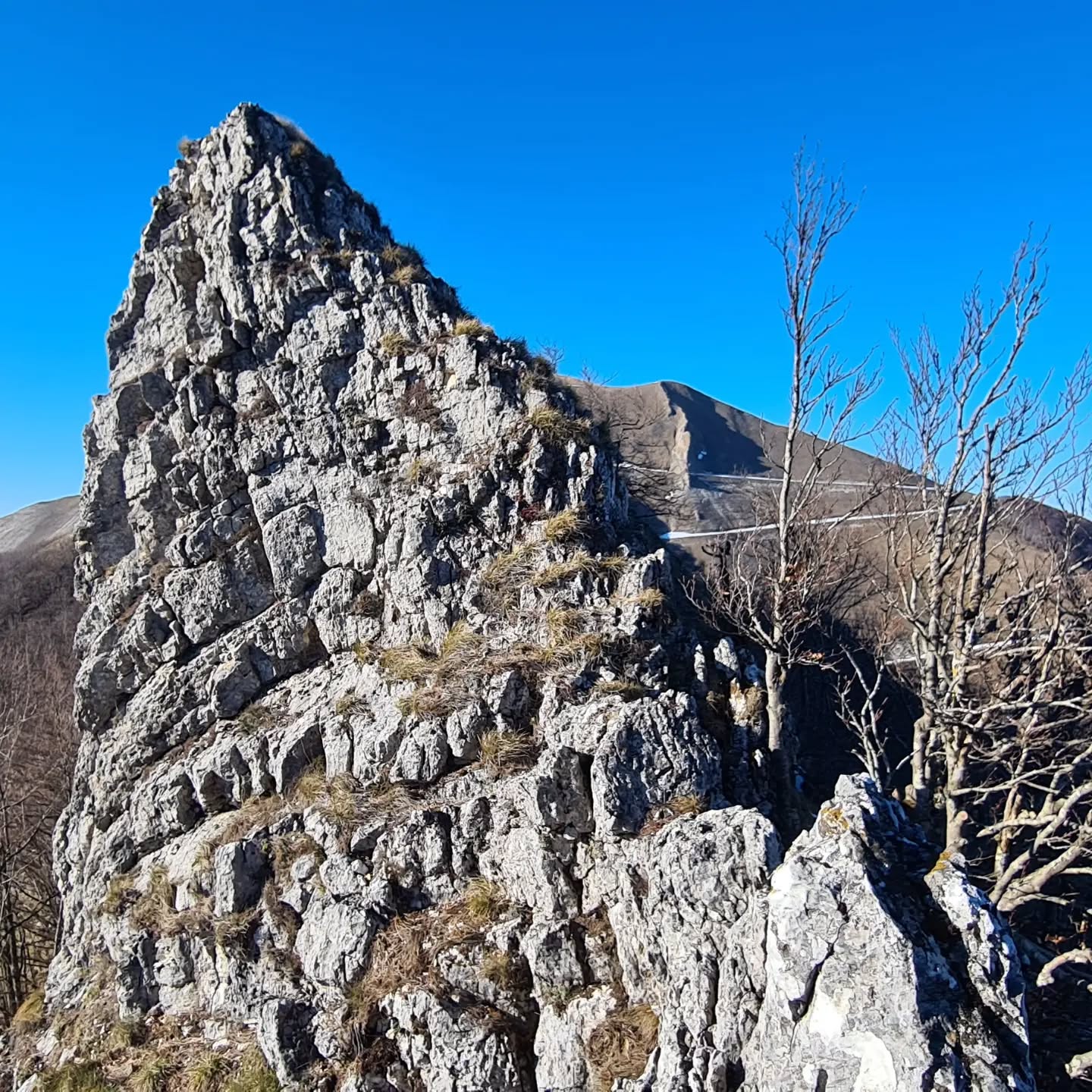 Sull'affilata cresta degli spicchi
#balzadeglispicchi #pesarotrekking