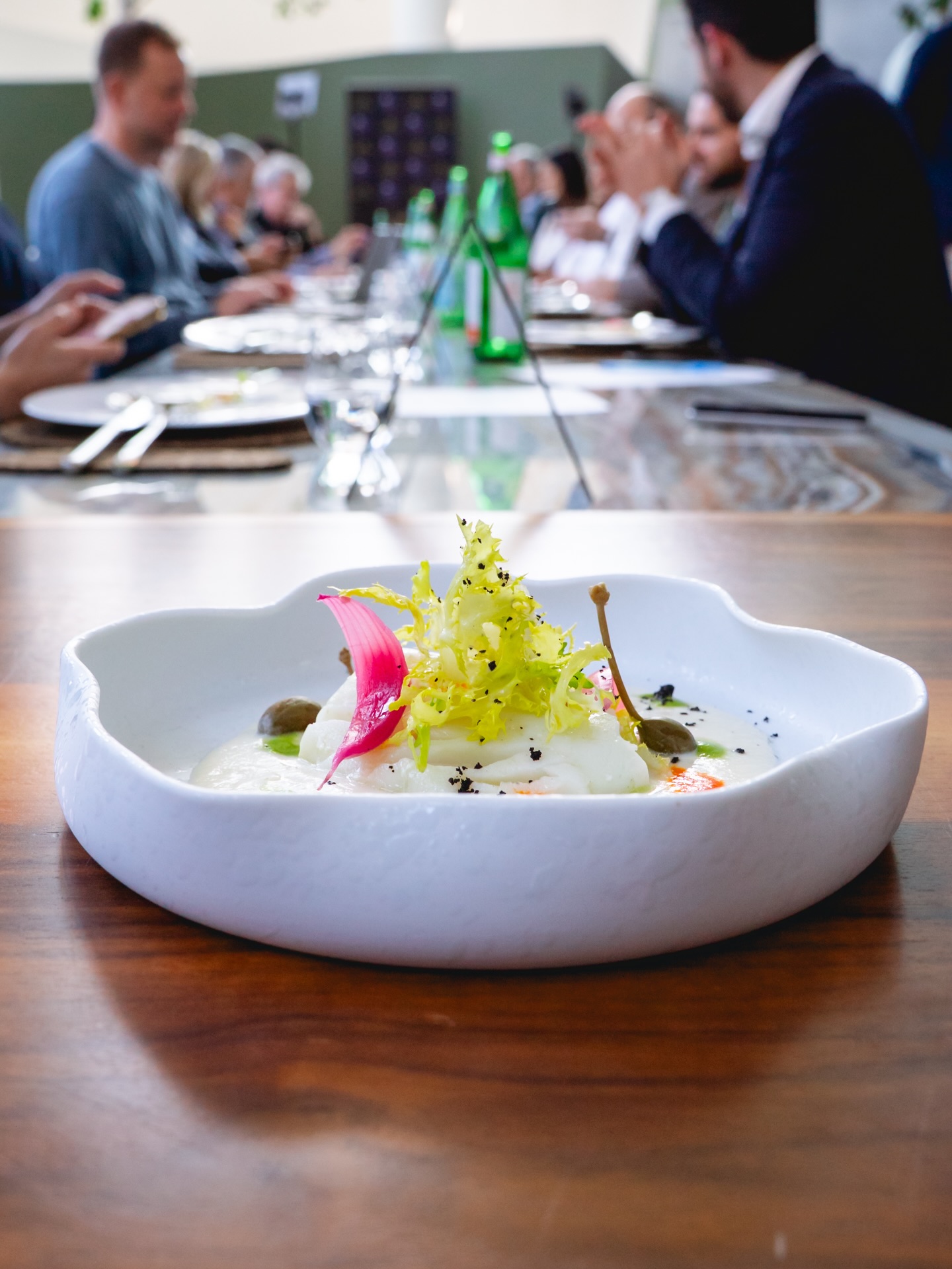 ✨ Non è solo la vittoria di @lucagiacchettii, è un segnale.
Il futuro della cucina italiana in Svizzera parla giovane, parla talento, parla passione 🇮🇹🇨🇭
Venerdì abbiamo visto idee diventare piatti, mani tremare per l’emozione e occhi brillare davanti alla giuria. Abbiamo visto coraggio, identità, visione.
Complimenti a Luca Giacchetti (@davittorioristorante) per aver conquistato il titolo con “Bella Mbriana” – un piatto che racconta radici, tecnica e carattere.
Ma questa finale è stata molto di più. È stata energia pura. È stata comunità. È stata #ItalianFoodExperience.
Grazie a 50 Top Italy, ai finalisti e a chi continua a credere in una cucina che guarda avanti.
🔥 Il viaggio continua!
#MaistàFood #50TopItaly #ItalianFoodExperience #CucinaItaliana