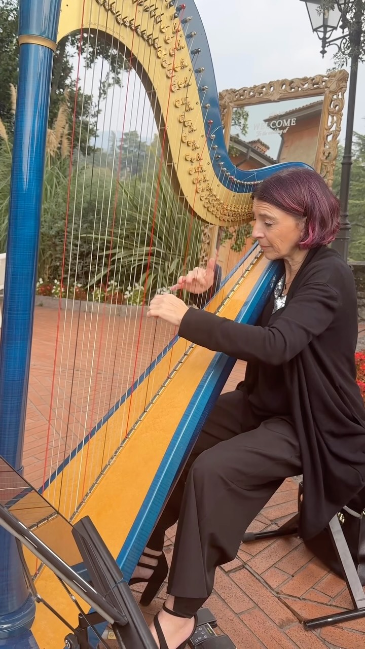 Sono follemente innamorato di questa vibrazione armonica!
#arpa #harp #weddingharp #weddingmusic #villamalliana